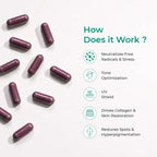 SR PhytoGlow Peptides