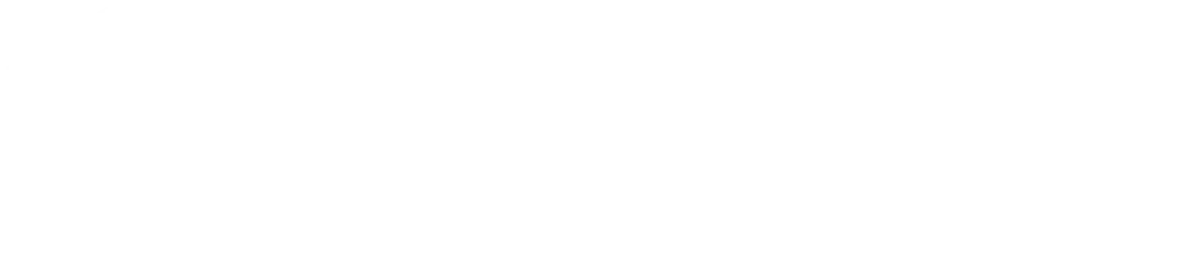 Swiss Revitalisation